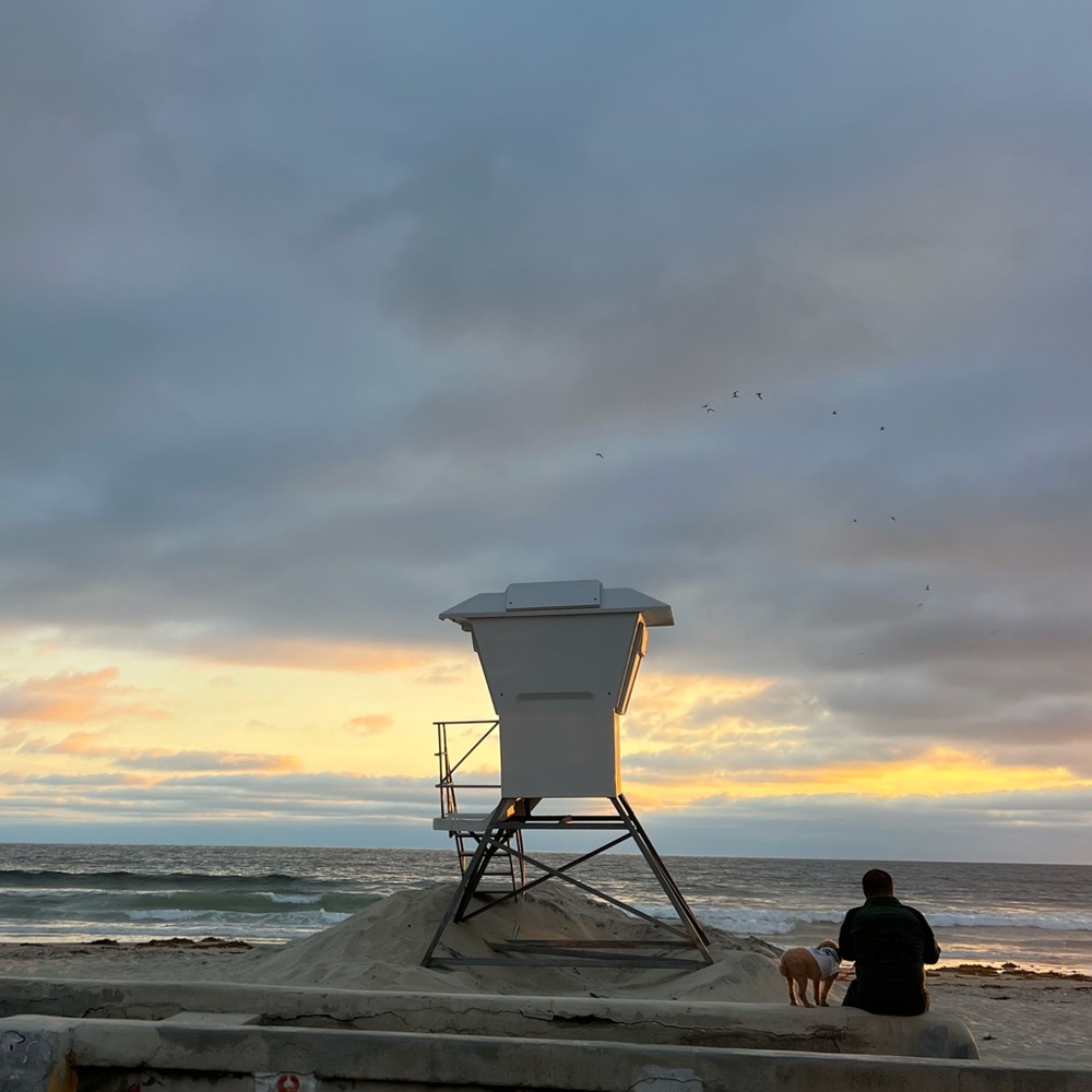 Meet your Posher, Lev